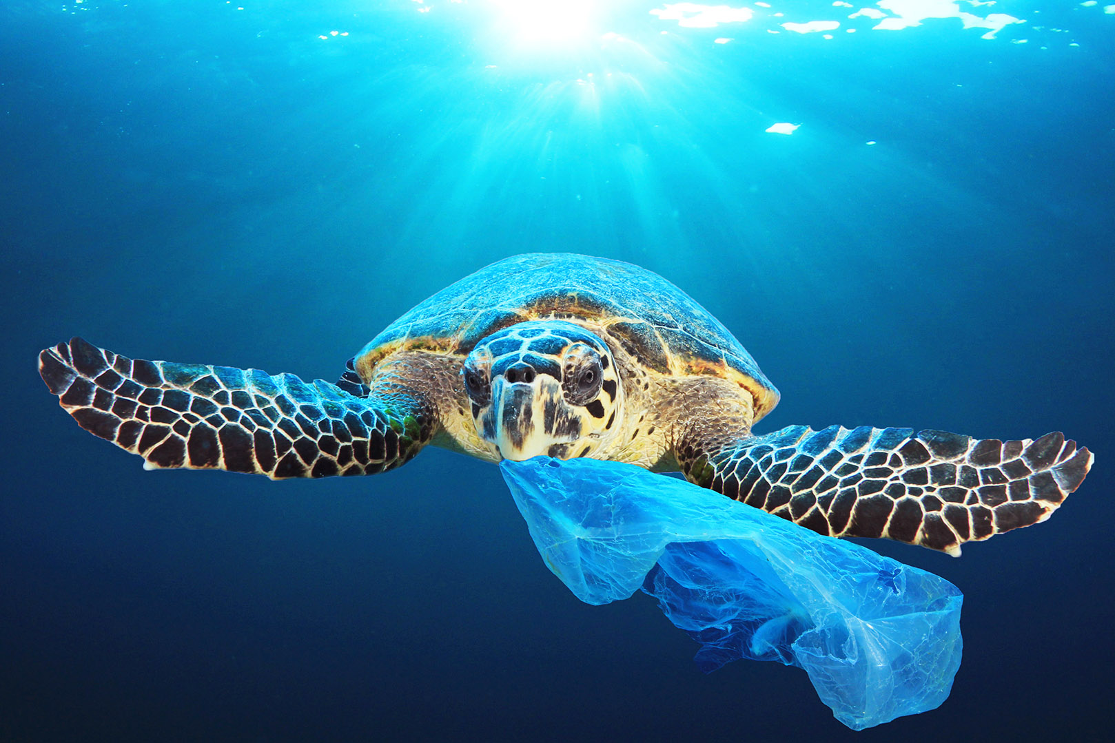 Rivoluzione plastica: Ue propone bando piatti e bicchieri di