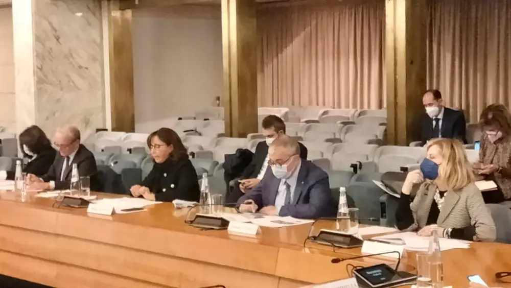 Conferenza sul futuro dell'Europa, terza riunione del Comitato scientifico Conferenza sul futuro dell'Europa, terza riunione del Comitato scientifico